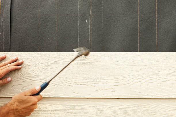 Best Historical Building Siding Restoration  in San Manuel, AZ